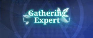 gathering expert title
