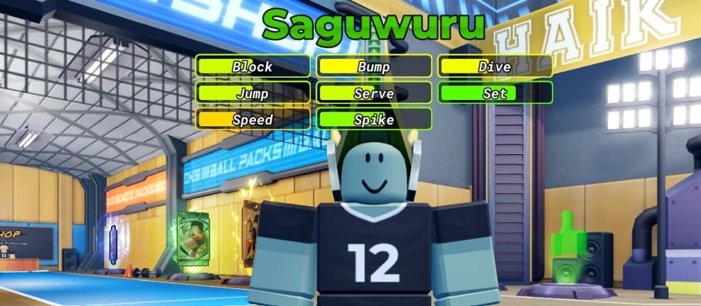 roblox Volleyball legends sawaguru style