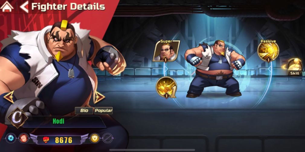 Hodi fighter details